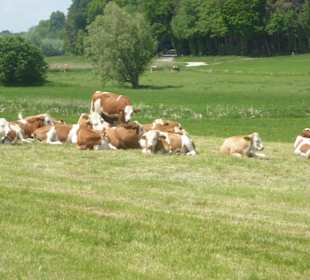 Rundwanderung Petersberg