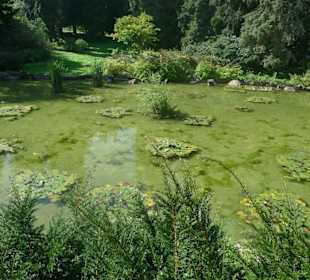 Прудик на территории замка