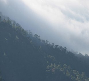Morgens am Bergkamm zwischen Ost und West