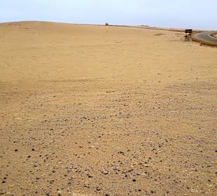 Nationalreservat Paracas