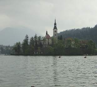 Jezioro Bled w pochmurny dzień
