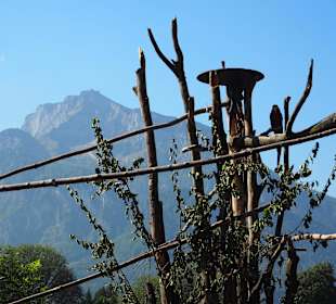 Affengeiler Ausblick