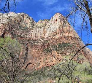 Im Zion Nationalpark