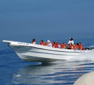 Per Speedboot auf die Insel Saona