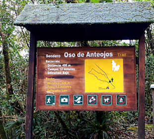 Podocarpus Nationalpark