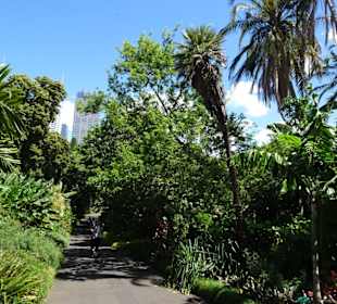 Stadtrundgang Sydney