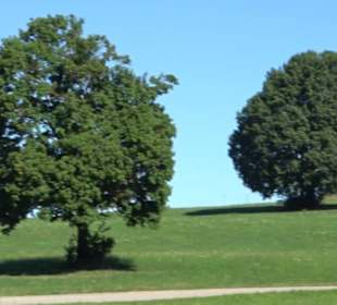 Waldameisen-LehrPfad