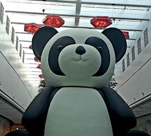 Dubai Mall China Town