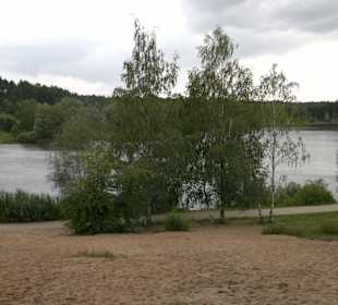 Birkensee Ende Juli 2012