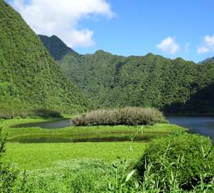 Impressionen vom Grand Étang