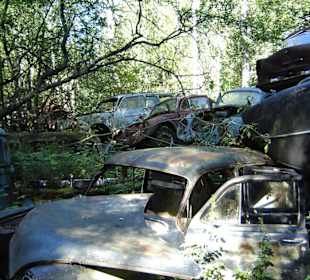 Autofriedhof am Foxen