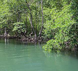 Nationalpark Los Haitises