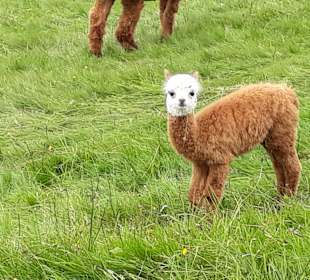 Wandern Oberwiesenthal