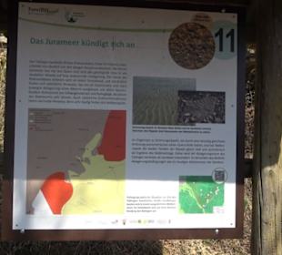 Geologischer Lehrpfad Kirnbachtal