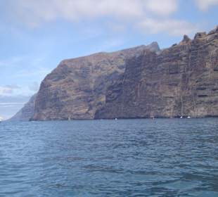 Fern von Las Americas