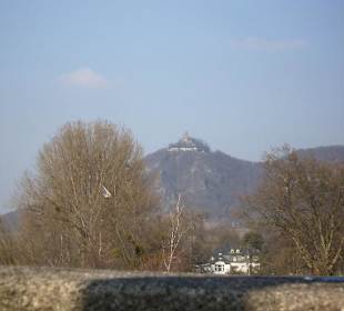 Sonniger Frühlingstag am Rhein