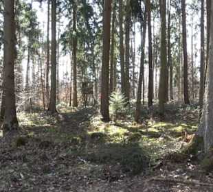 Historischer Rundwanderweg Aichtal