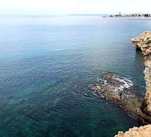 Ayia Napa Bogen Monachus Monachus