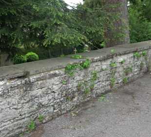 Friedhof Obermusbach