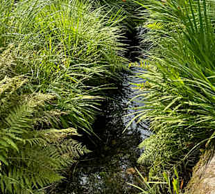 Killarney National Park