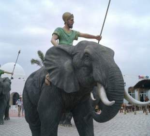 Elefant vor dem Carthage Land