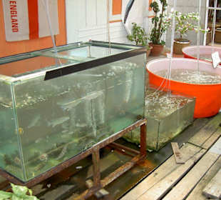 Restaurant "The Bay" - Speisenkarte