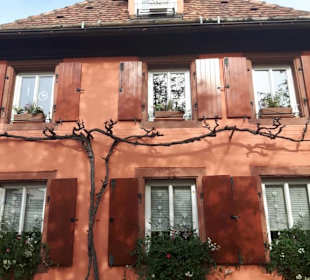 Rhodt unter Rietburg