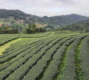 Geführte Touren Siamways