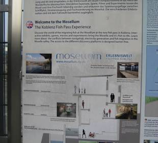 Mosellum