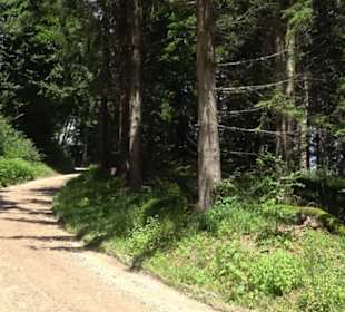 Naturerlebnispfad Sternberg