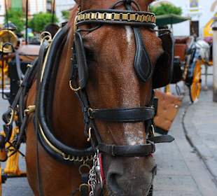 Fin de semana en sevilla