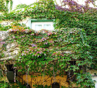 Ritteressen Das Original in Uffenheim