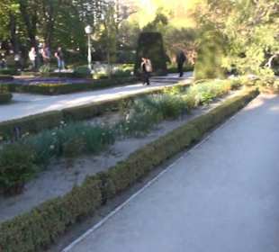 Real Jardín Botánico de Madrid