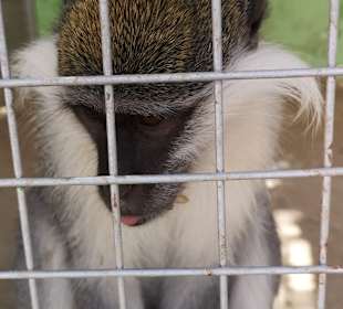 Stadtrundfahrt Hurghada