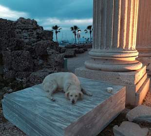 Apollon Tempel