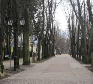 Cieplice mit Schlosspark