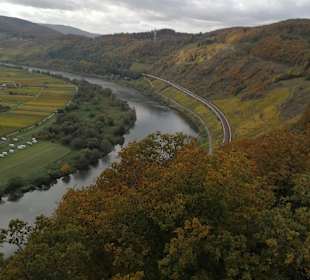 Wandern Burg (Mosel)