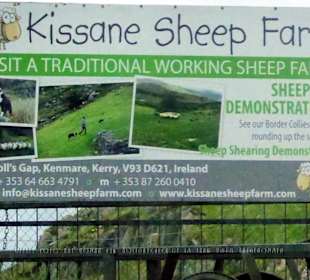 Detail d. Werbetafel Werbetafel Kissane Sheep Farm