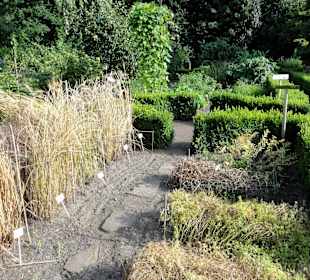 Abteilung für Nutzpflanzen im Botanischen Garten