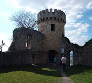 Burg Ruine Honberg in Tuttlingen