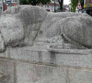 Kaiserplatz: The Lion sleeps (not only) tonight