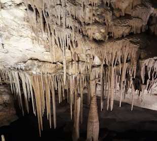 Höhlen von Arta/Cuevas de Artá