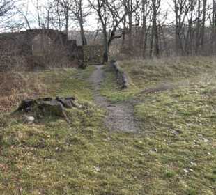 Burg Hofen Grabenstetten