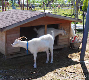 Discovery Park Manavgat