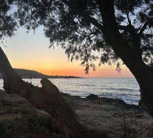 Strand Stalis