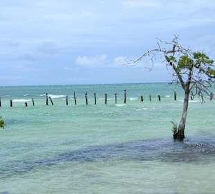 Lagune links neben BlueBay Hotel