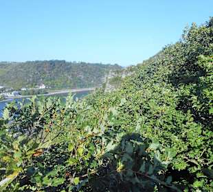 Blick unterhalb vom Ddei Burgenblick