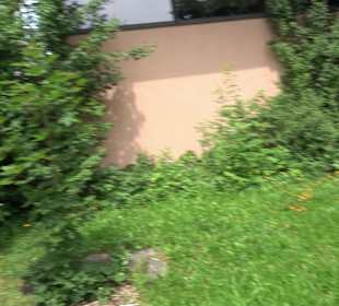 Neuapostolische Kirche Aalen