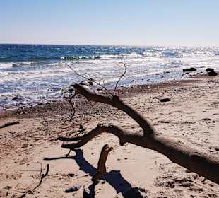 Strand Fehmarn