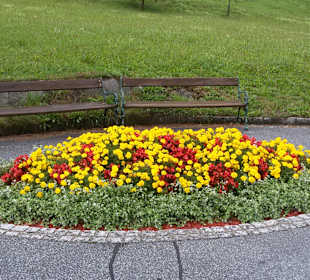 Wandern Neukirchen am Großvenediger